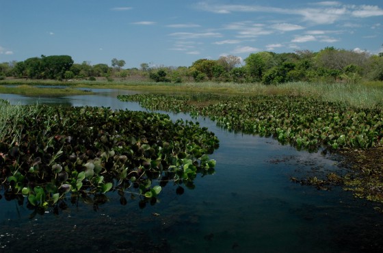 Edital financia projetos na Bacia do Rio Pandeiros